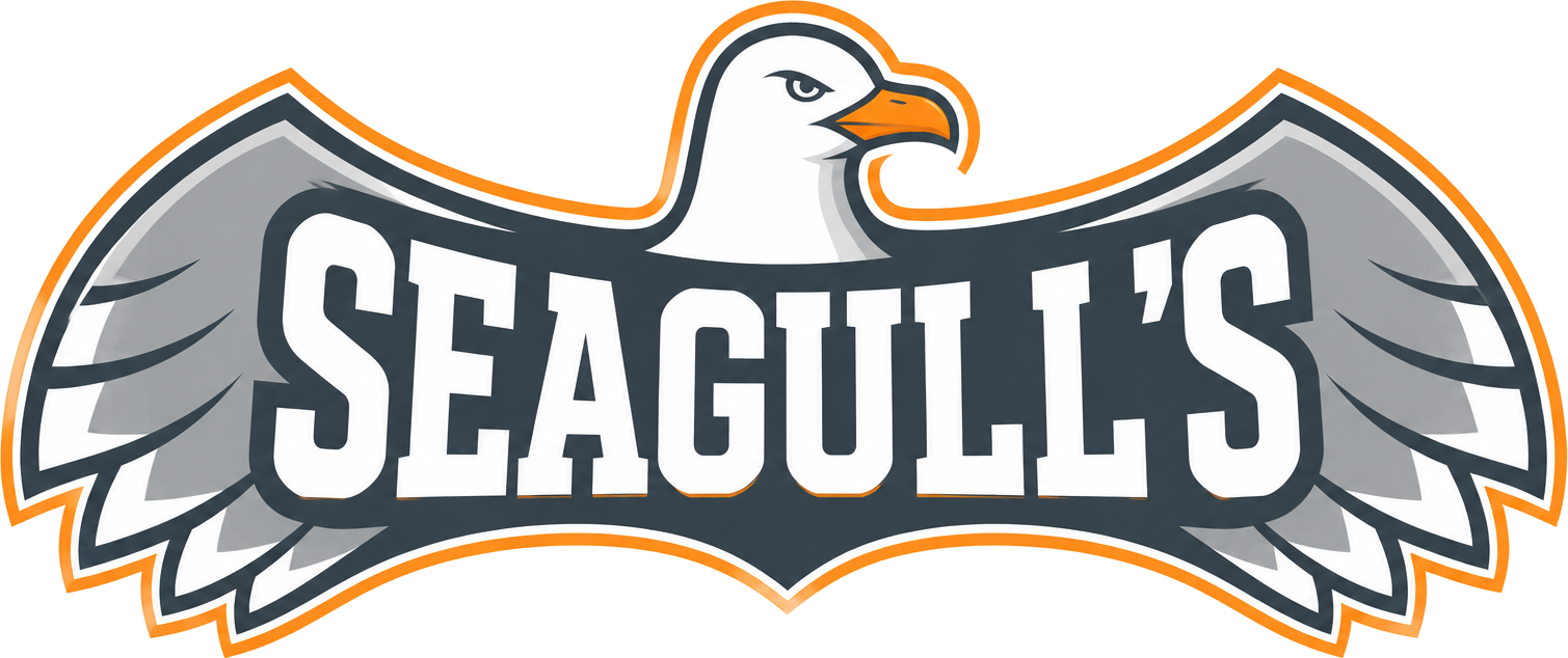 Seagull's